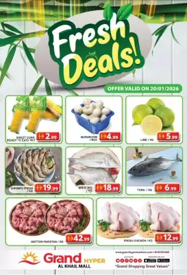 Grand Hyper Market catalogue (valid until 20-01)