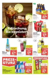 ADEG Flugblatt woche 5 Seite 8