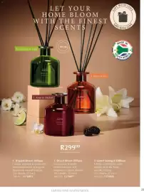 Justine brochure Page 22