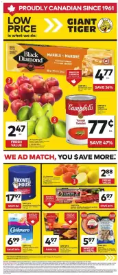 Giant Tiger flyer (valid until 27-01)