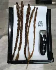 JEAN LOUIS DAVID gazetka Strona 1