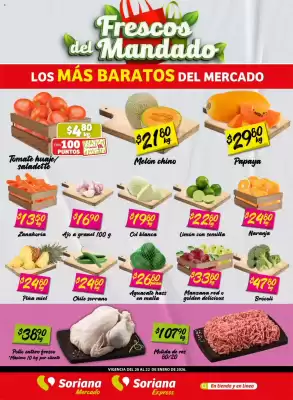 Folleto Soriana Mercado (válido hasta 22-01)