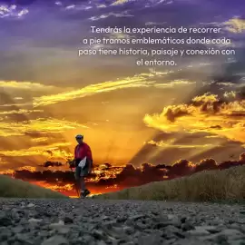 Catálogo Mega Travel semana 4 Página 2