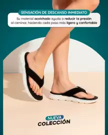 Catálogo Evacol semana 4 Página 2