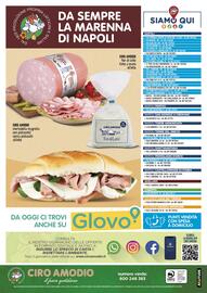 Volantino Ciro Amodio Pagina 12