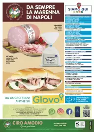 Volantino Ciro Amodio Pagina 12