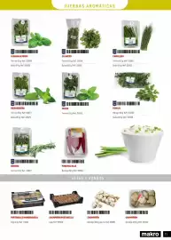 Catálogo Makro Página 11