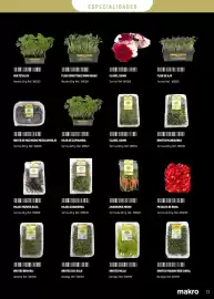 Catálogo Makro Página 13