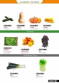 Catálogo Makro Página 9