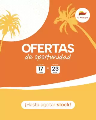 Catálogo El Milagro Mayorista (válido hasta 23-01)