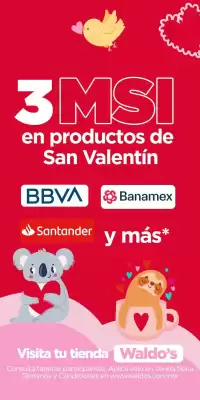 Catálogo Waldos (válido hasta 15-02)