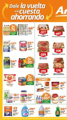 Folleto Arteli (válido hasta 22-01)