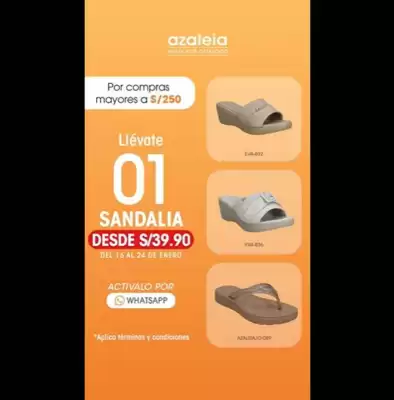 Catálogo Azaleia (válido hasta 24-01)