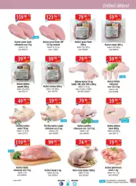 Qanto leták Strana 13