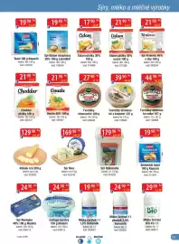 Qanto leták Strana 29