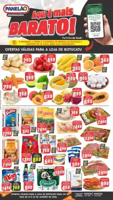 Folheto Panelão (válido até 22-01)