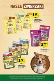 ABC gazetka Strona 29