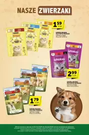 Groszek gazetka Strona 29