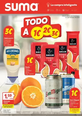 Folleto Suma Supermercados (válido hasta el 3-02)