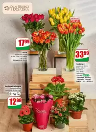 Dino gazetka tydzień 4 Strona 13