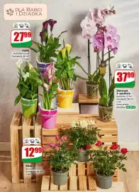 Dino gazetka tydzień 4 Strona 14