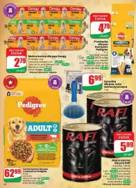 Dino gazetka tydzień 4 Strona 62