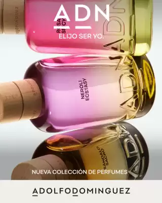 Catálogo Pigmento (válido hasta 31-01)