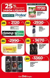 Folleto Supermercados DIA semana 4 Página 19