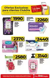 Folleto Supermercados DIA semana 4 Página 45