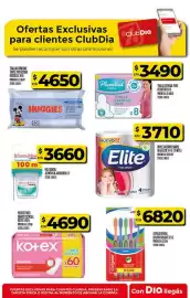Folleto Supermercados DIA semana 4 Página 46