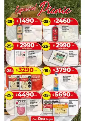 Folleto Supermercados DIA (válido hasta 26-01)
