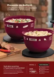 Catálogo Tupperware Página 58