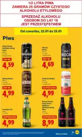 Lidl gazetka Strona 43