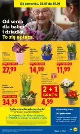 Lidl gazetka Strona 55