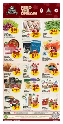 Farm Boy flyer (valid until 28-01)