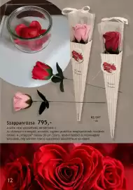 Betly katalógus Oldal 12