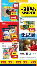 Hofer Flugblatt woche 4 Seite 13