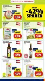 Hofer Flugblatt woche 4 Seite 23