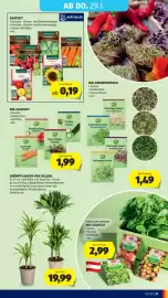 Hofer Flugblatt woche 4 Seite 35