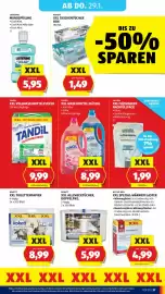 Hofer Flugblatt woche 4 Seite 41