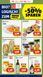 Hofer Flugblatt woche 4 Seite 7