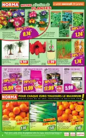 Catalogue Norma semaine 5 page 4