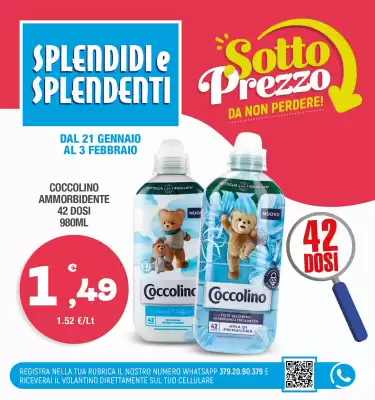 Volantino Splendidi e Splendenti