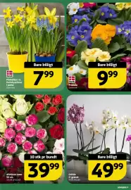 Løvbjerg tilbudsavis uge 4 Side 9