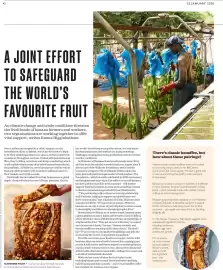 Waitrose catalogue week 4 Page 2