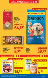 Catalog Lidl săptămâna 5 Pagină 17