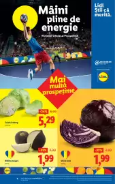Catalog Lidl săptămâna 5 Pagină 4