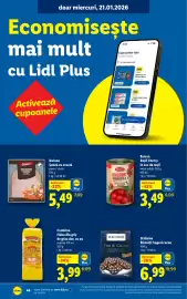 Catalog Lidl săptămâna 5 Pagină 44