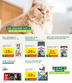 Horta folder Pagina 3