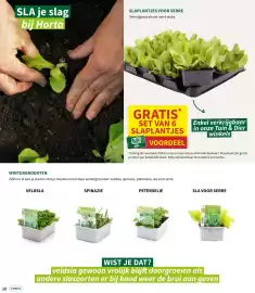 Horta folder Pagina 6